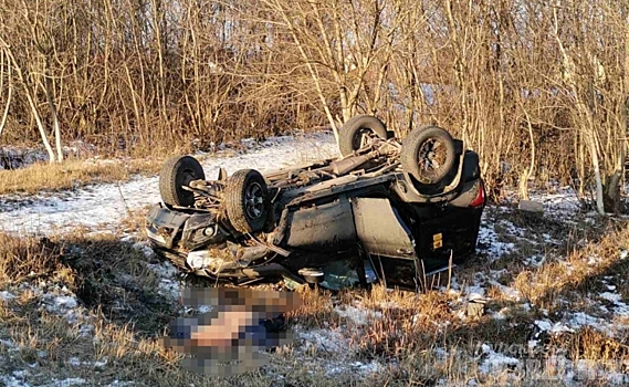 В ДТП на автодороге «Курск-Поныри» погиб 57-летний мужчина