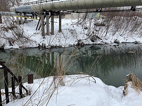 Очистка притоков Оби в Новосибирской области может обойтись в 274 млн рублей