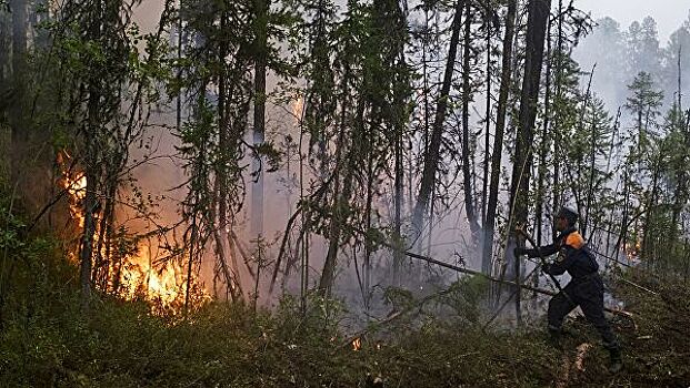 В красноярской тайге площадь пожаров уменьшилась на три тысячи гектаров