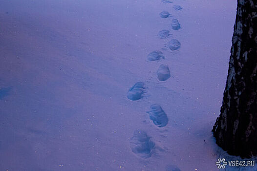 Следователи проводят допросы близких пропавшей семьи Усольцевых