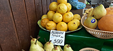 «Эксперт» с ток-шоу взвинтил цены на лимоны и имбирь в Хабаровске