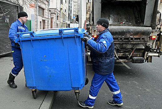 Минприроды заявило о нехватке мусорных контейнеров