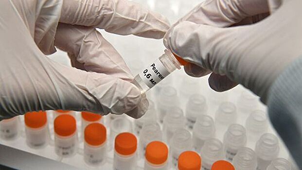 Более 43,3 млн тестов на коронавирус провели в России