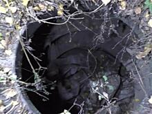 Рязанцу и его девушке вынесли приговор за жестокое убийство подростка