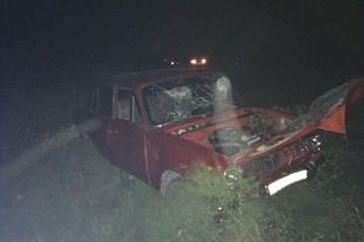 Коровы спровоцировали массовую аварию на Ставрополье