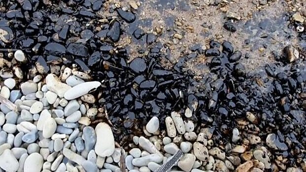 В Краснодарском крае возбудили административные дела из-за загрязнения пляжей нефтепродуктами