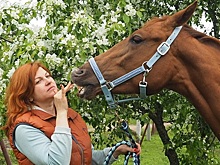 Слабоумие и отвага. Или как я купила золотую лошадь с бойни