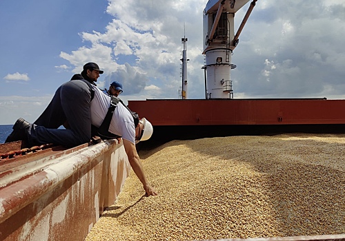 В России создадут грузовой флот для экспорта зерна