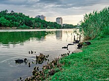 В экологическом рейтинге Кубань заняла 40-е место по стране и ухудшил свои позиции