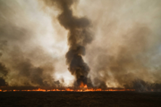 Центральная Россия: лесные пожары породили пирокумулятивные облака