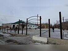 В Новосибирской области за год почти вдвое сократилось поголовье свиней