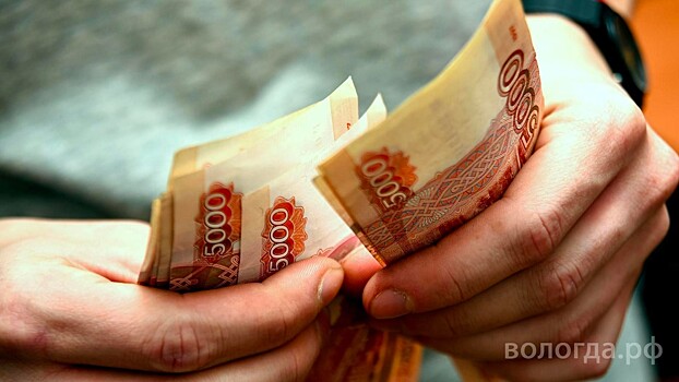 Вологжанин систематически оформлял микрозаймы и не выплачивал их