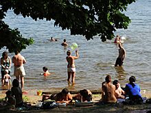 Профессор Виноградов рассказал о штрафах за заезд в лес и к водоёмам