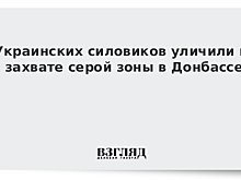 Украинских силовиков уличили в захвате серой зоны в Донбассе