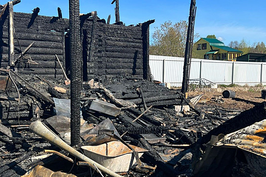 Семья с шестилетним ребенком сгорела в собственном доме в Подмосковье