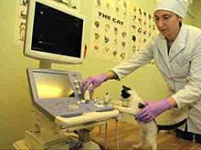 Ветеринары из ЮВАО поборются за звание лучшего в столице