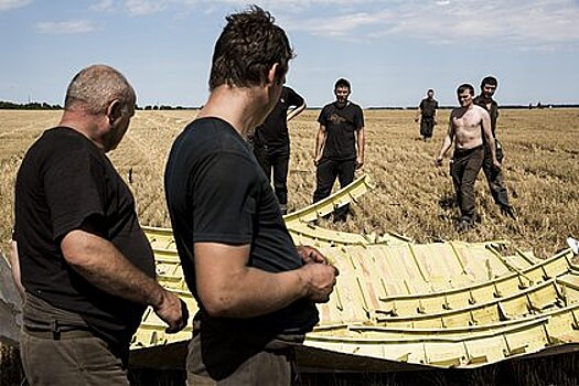 Гаагский суд приговорил виновных в катастрофе MH17 к пожизненному заключению
