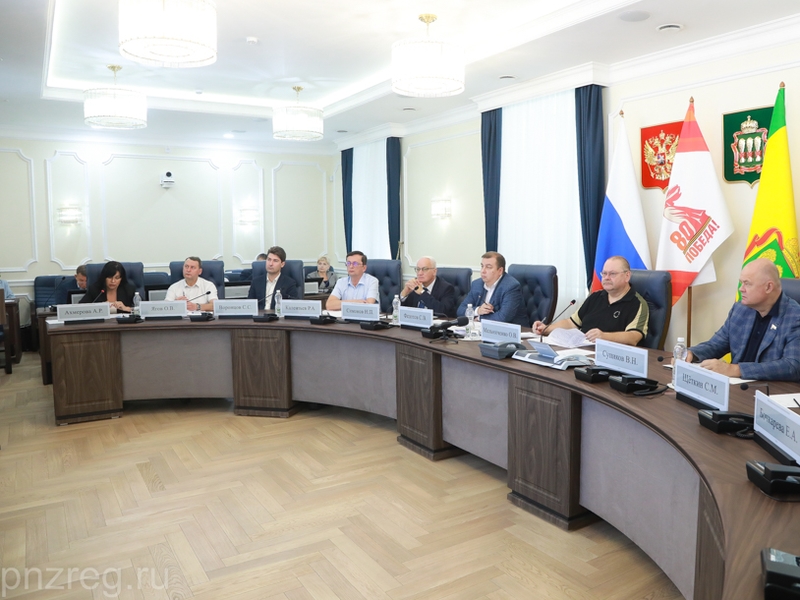 В Пензенской области реализация пяти проектов комплексного развития территорий находится в активной фазе — губернатор