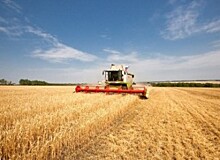 Фермеры Новосибирской области получат господдержку на развитие в сумме 167 млн рублей