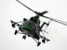 Железная птица мира. Путешествие вокруг света за 50 дней