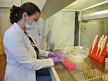 Медики обсудили новые методы лечения онкологии