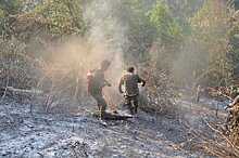 МЧС и Минэкологии стремятся уберечь лес от начавшегося в Гахе пожара