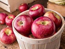 Роспотребнадзор рекомендовал не есть много яблок людям с ожирением