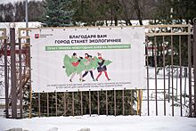«Елочный круговорот»: москвичи выберут, где откроются пункты приема новогодних деревьев