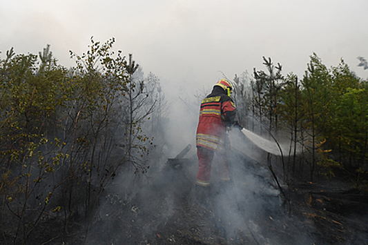 МЧС заявило о стабилизации ситуации с природными пожарами в Рязанской области