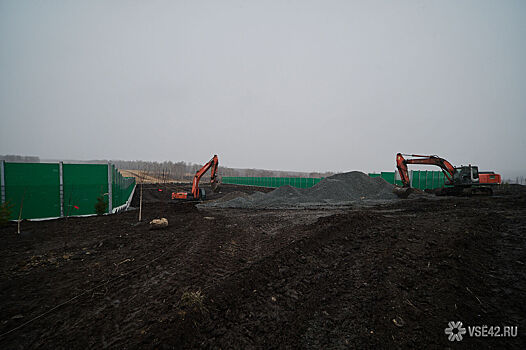 Ошарашенные лоси стали массово бегать по обходу Кемерова с недоделанным экодуком