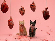 SMIT.Studio: гендерные праздники в диджитале и что с ними делать