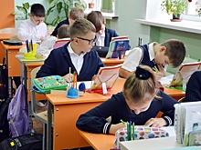 Госдума упростит допуск студентов к педагогической деятельности в школах