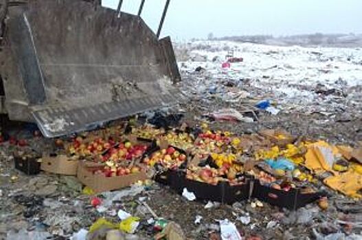В Красноярске уничтожили польские яблоки и перцы
