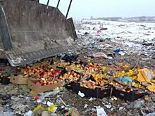 В Красноярске уничтожили польские яблоки и перцы