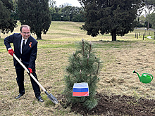 В посольстве РФ в Риме высадили Аллею памяти и заложили монумент Героям Победы