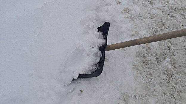 В Пензе дворников планируют поощрить за работу в снегопады