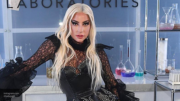 Полиция предотвратила теракт на концерте Леди Гаги