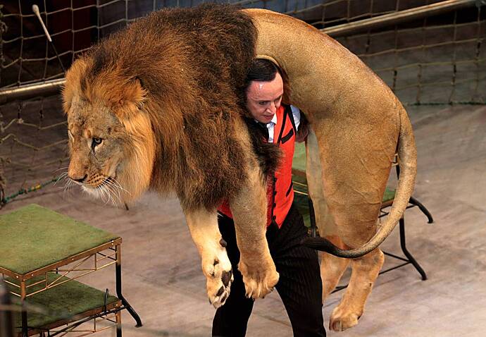 Дрессировщик львов стал основателем цирковой династии и поделился опытом
