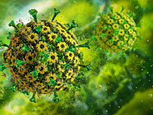 Современный вирус герпеса живет с человеком минимум 2800 лет — открытие