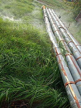 Улицу в Нижнем Новгороде затопило кипятком из-за прорыва трубы