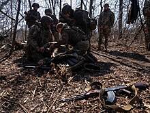 На Украине признали проблемы со снабжением ВСУ в Покровске