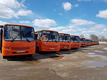 Частные перевозчики увеличивают количество рейсов в часы пик в Нижнем Новгороде