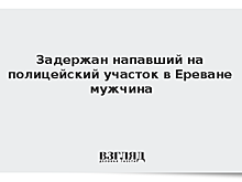 В Ереване задержали напавшего на отделение полиции