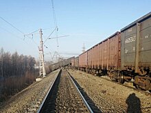 В Забайкалье 20 вагонов грузового поезда сошли с путей после столкновения с авто