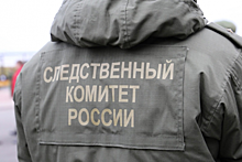 Уголовное дело за насилие в отношении представителя власти возбудили в Ростовской области