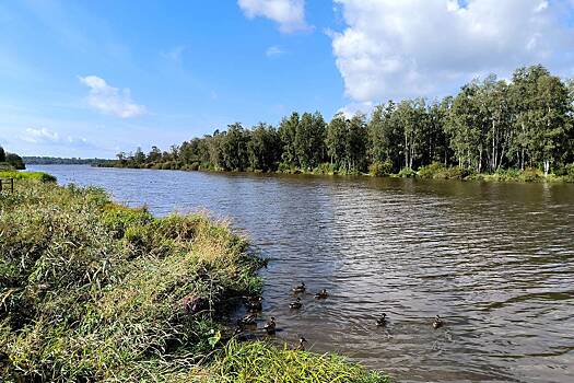 Россиянам рассказали о погоде в сентябре в европейской части России