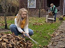 Осенний сад: как создать уют в межсезонье