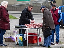 В России поставили рекорд по потреблению свинины за последние 30 лет