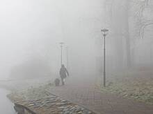 «Желтый» уровень опасности из-за тумана продлили в столичном регионе до 8 октября