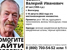 Пропавшего мужчину в камуфляжной одежде в Волгограде ищут с 10 августа